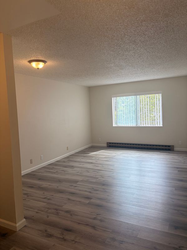33 Atlas Ave San Jose, CA 95126 photo 2