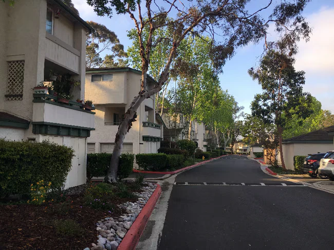 3199 Evening Way San Diego, CA 92037 photo 3