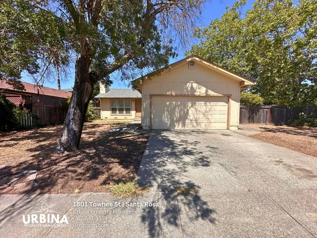 Inviting 3 Bedroom 2 Bathroom Home In Desirable Coffey Park Location photo 3