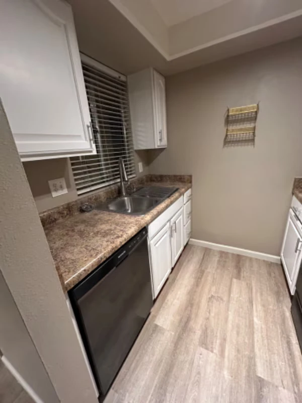 461 W Holmes Ave Mesa, AZ 85210 photo 4