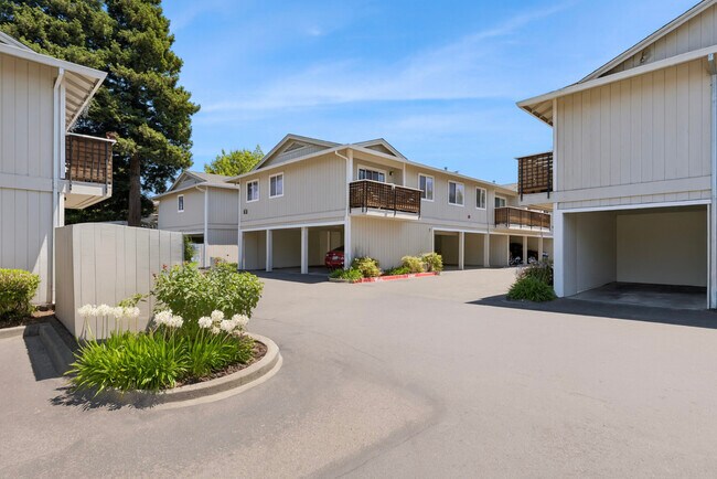 1BR/1BA Apartment on Commerce Blvd · Rohnert Park photo 2
