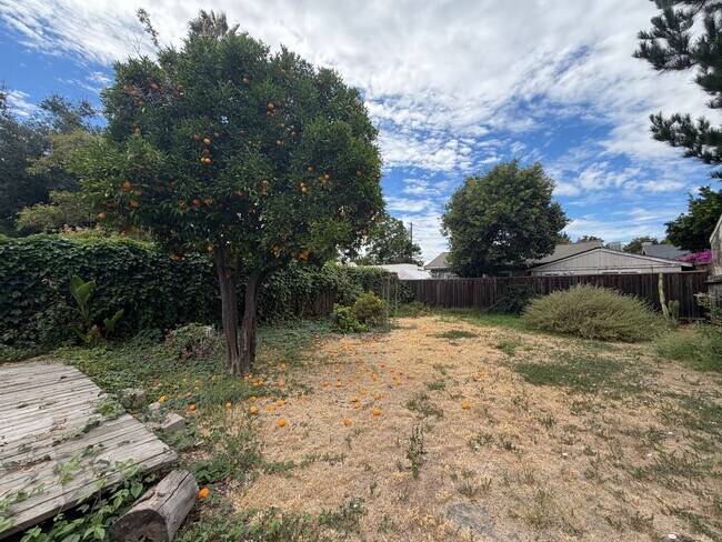 1351 Magnolia Ave San Jose, CA 95126 photo 3