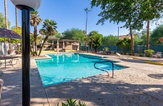1287 N Alma School Rd Chandler, AZ 85224 photo 4