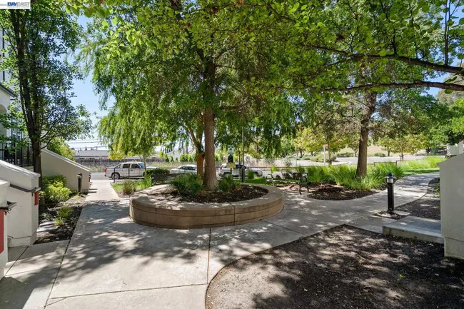 7981 Bellina St Dublin, CA 94568 photo 4