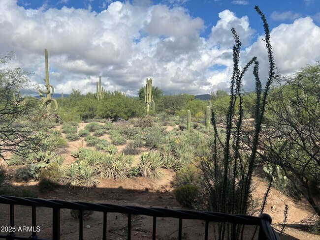 36601 Mule Train Rd Carefree, AZ 85377 photo 5