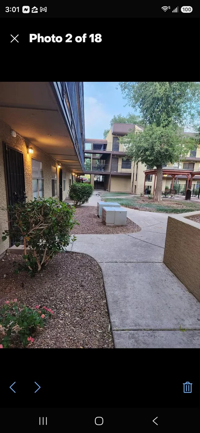 461 W Holmes Ave Mesa, AZ 85210 photo 2