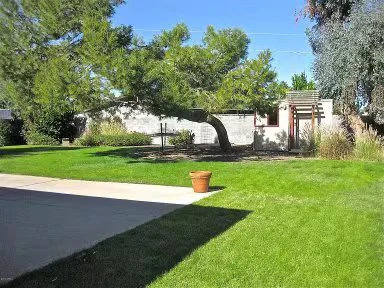 18028 N Villa Rita Dr Phoenix, AZ 85032 photo 4