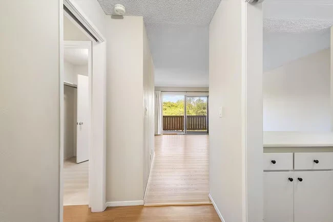 1327 Webster St. #B300 Rentals photo 3