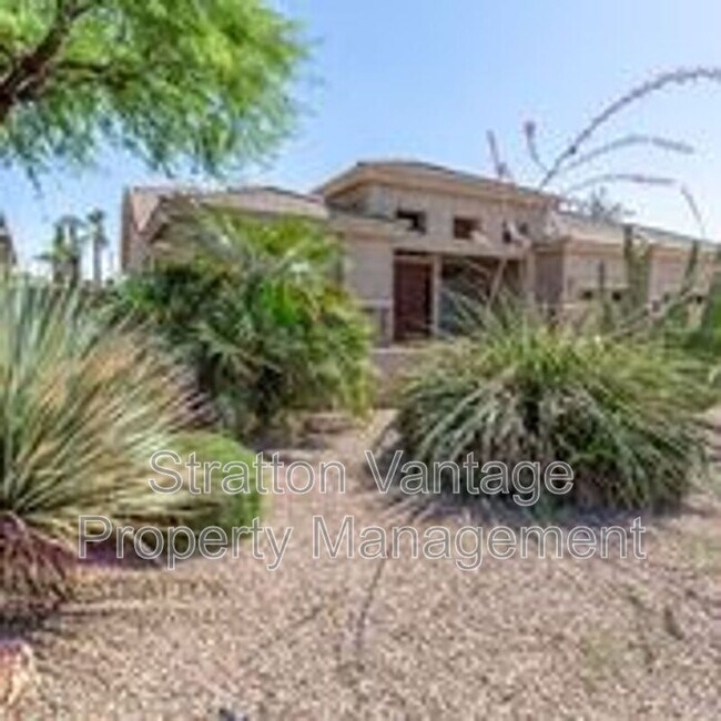 269 W Kingbird Dr Chandler, AZ 85286 photo 3