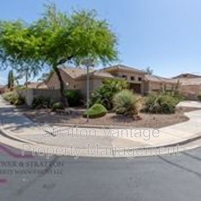269 W Kingbird Dr Chandler, AZ 85286 photo 4