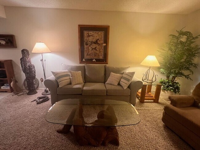 25246 S Glenburn Dr Sun Lakes, AZ 85248 photo 4