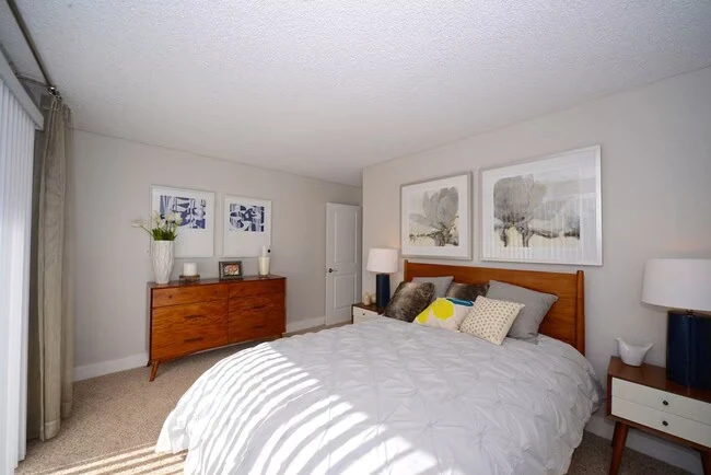 Terra Oceanside photo 5