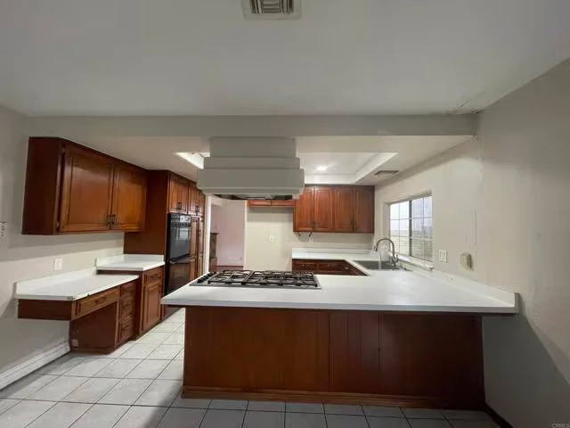 262 Eucalyptus Ct Chula Vista, CA 91910 photo 4