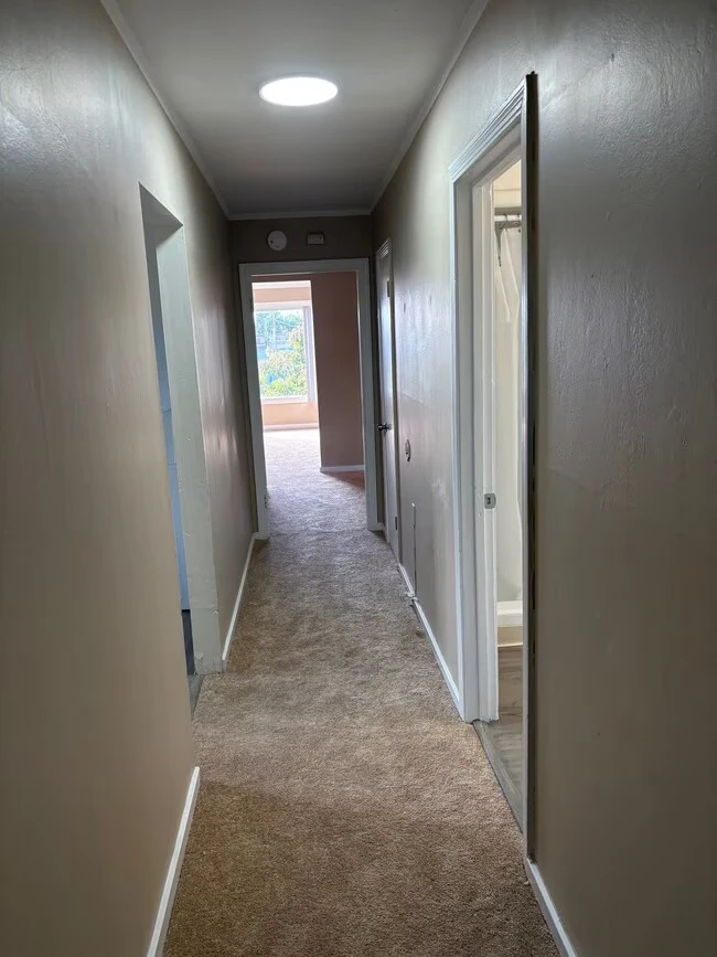 1411 E 3rd Ave San Mateo, CA 94401 photo 2