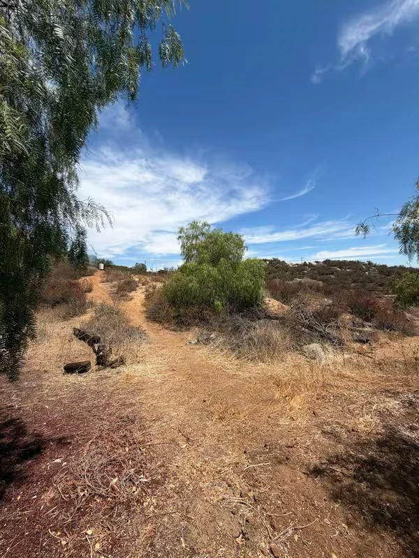 35600 Mitchell Rd photo 3