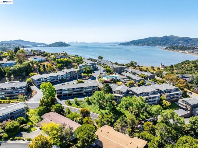 10 Andrew Dr Tiburon, CA 94920