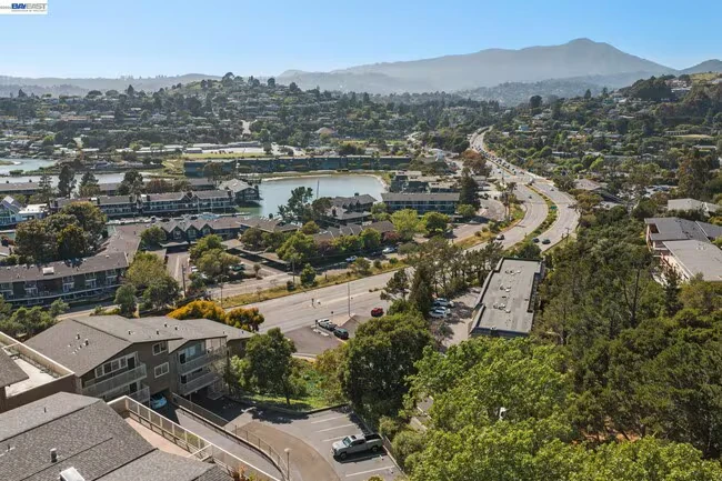 10 Andrew Dr Tiburon, CA 94920 photo 4