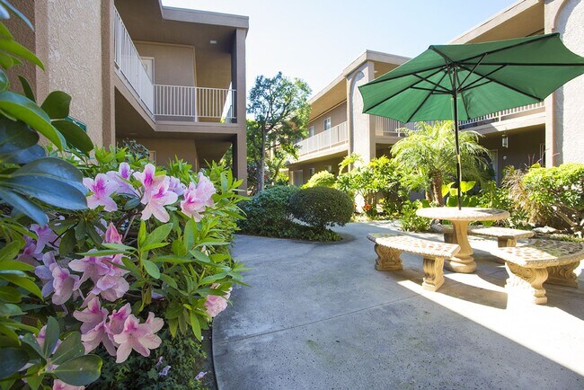 Trade Winds Apartments photo 4