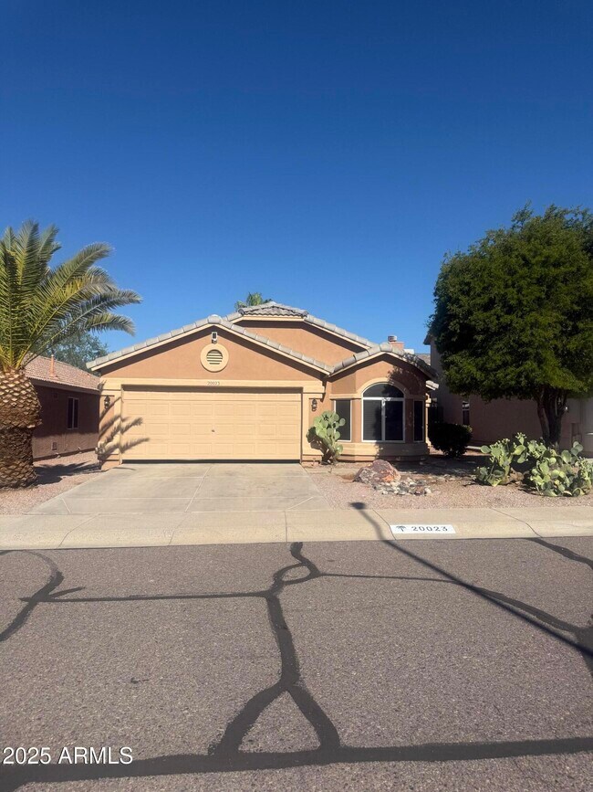 20023 N 22nd Pl Phoenix, AZ 85024 photo 3