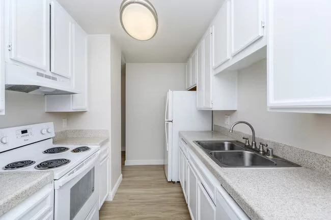 North Bonita Apartments photo 2