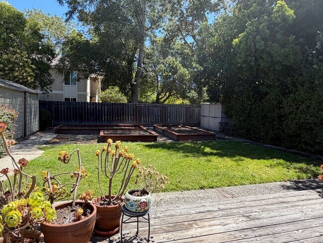116 S Morrissey Ave Santa Cruz, CA 95062 photo 3