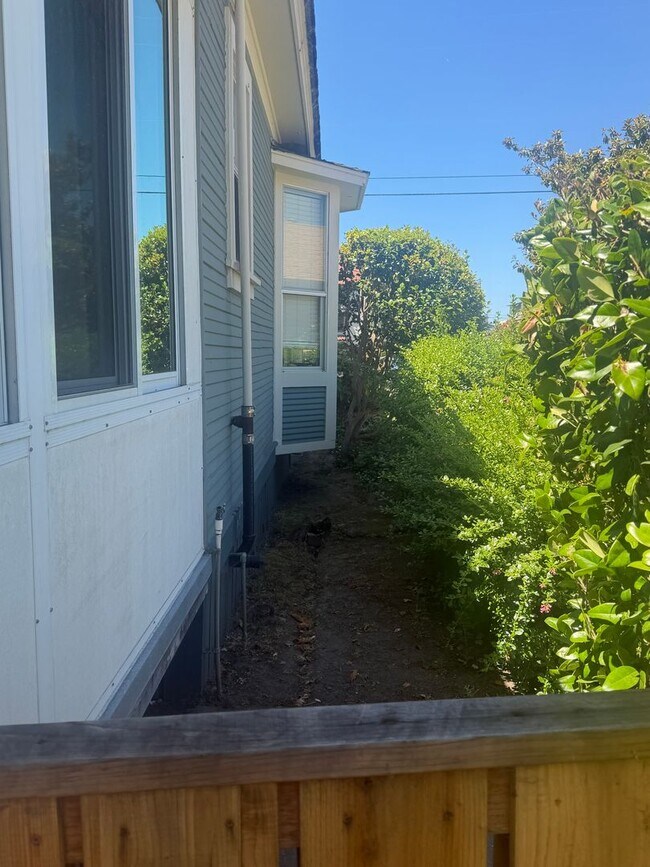 116 S Morrissey Ave Santa Cruz, CA 95062 photo 5