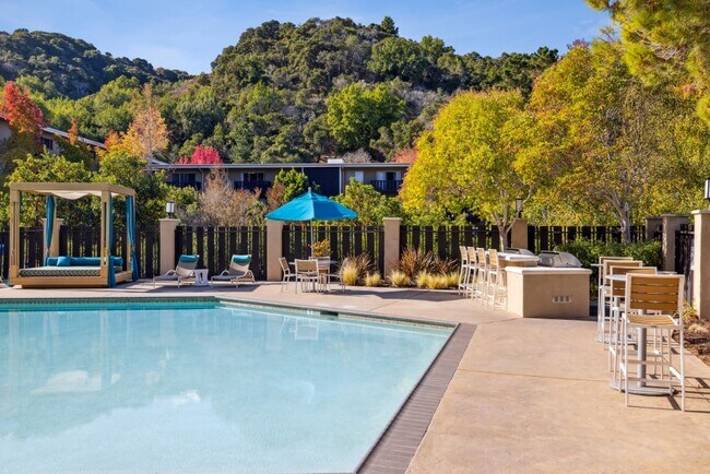 Sofi Belmont Hills photo 2