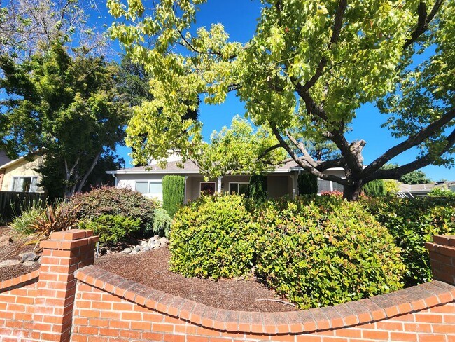 275 Alameda de las Pulgas Redwood City, CA 94062 photo 3