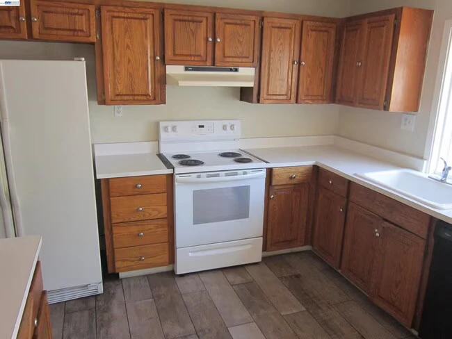157 Hanna Terrace Fremont, CA 94536 photo 4