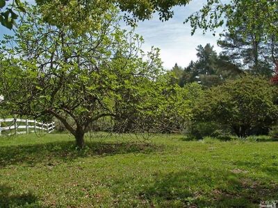 7385 Hidden Lake Rd Forestville, CA 95436 photo 2