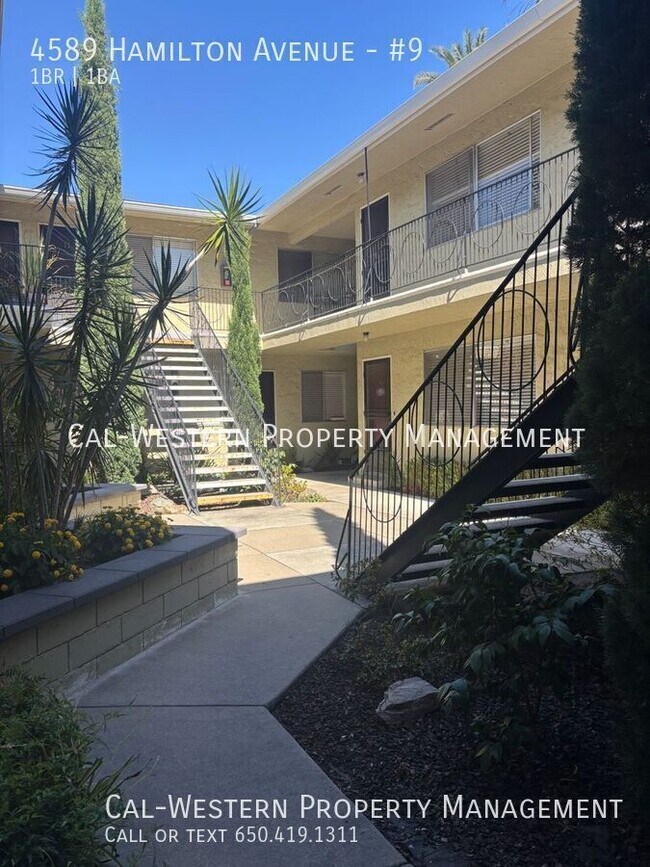 4589 Hamilton Ave San Jose, CA 95130 photo 3