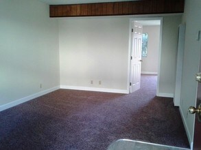 One Bed, One Bath floor plan