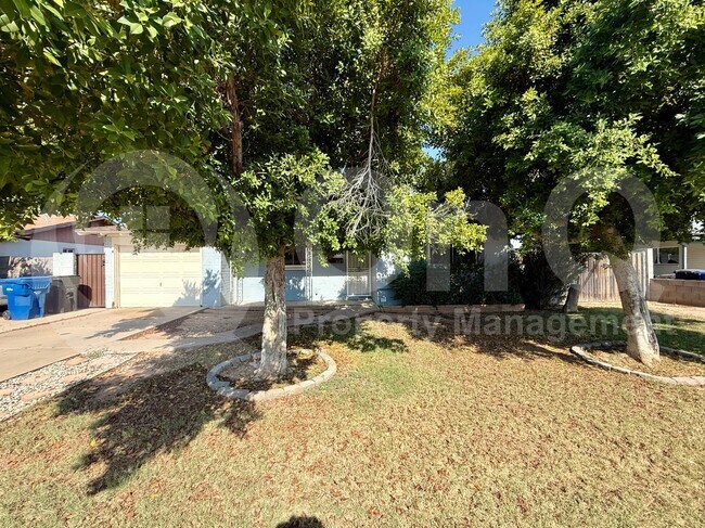 337 N Williams photo 3