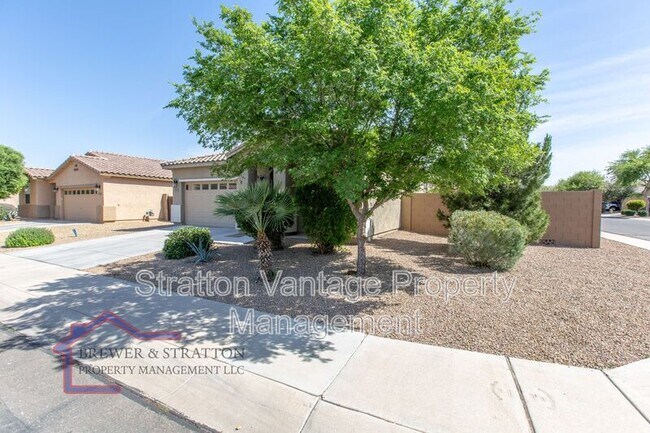 42607 W Centennial Ct Maricopa, AZ 85138 photo 3