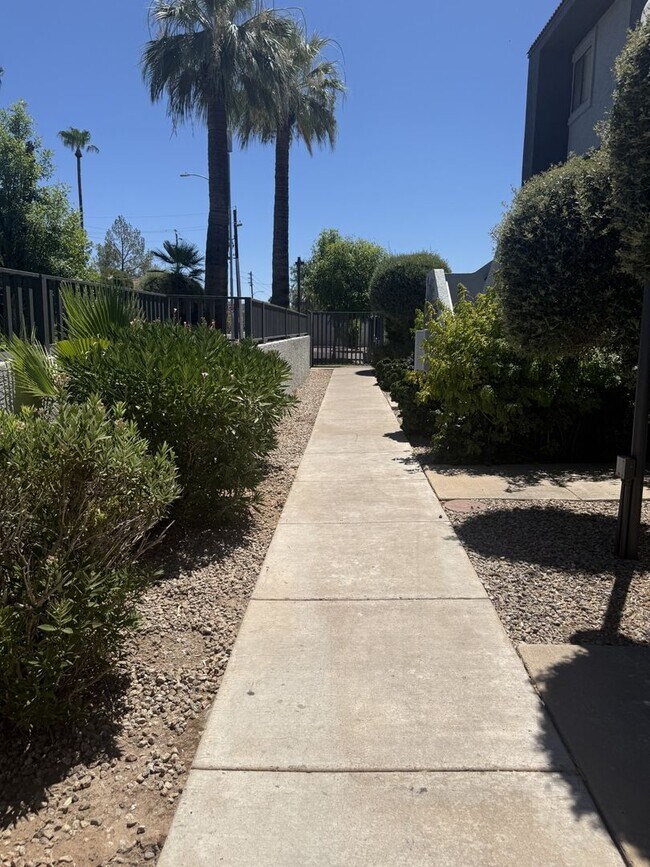 1215 E Lemon St Tempe, AZ 85281 photo 3