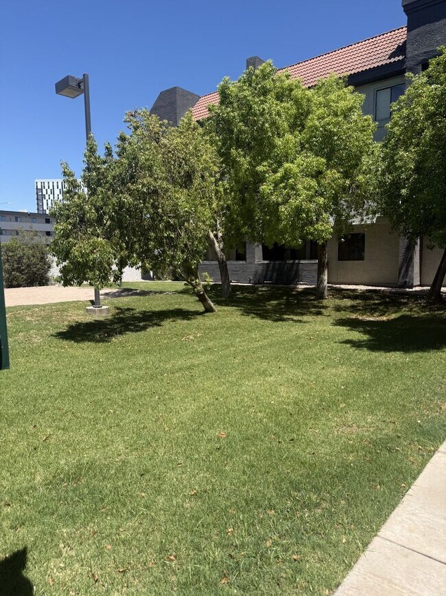 1215 E Lemon St Tempe, AZ 85281 photo 4
