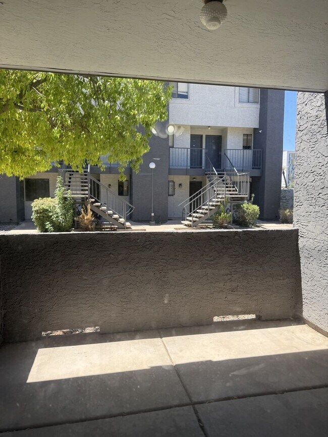 1215 E Lemon St Tempe, AZ 85281 photo 5