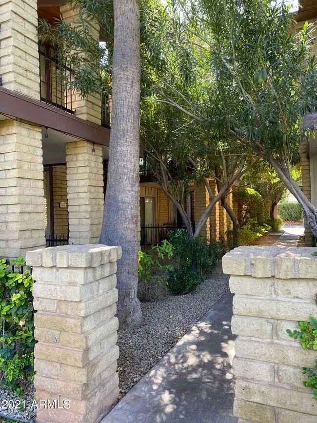 6925 E 4th St Scottsdale, AZ 85251 photo 3