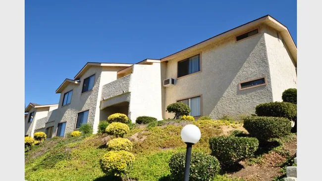 Sunset Terrace Apartments photo 2