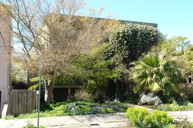 1610 Milvia Street photo 3