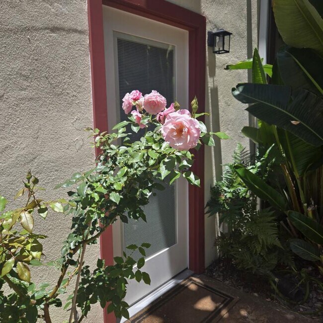 411 2nd St Coronado, CA 92118