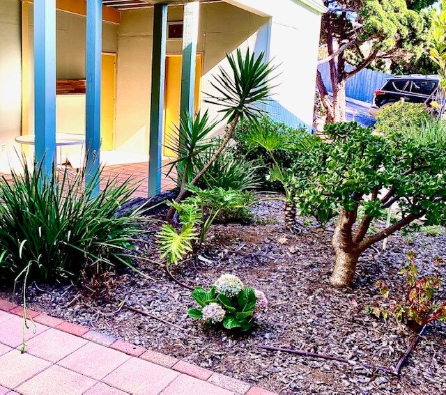 Curlew Apartments photo 4