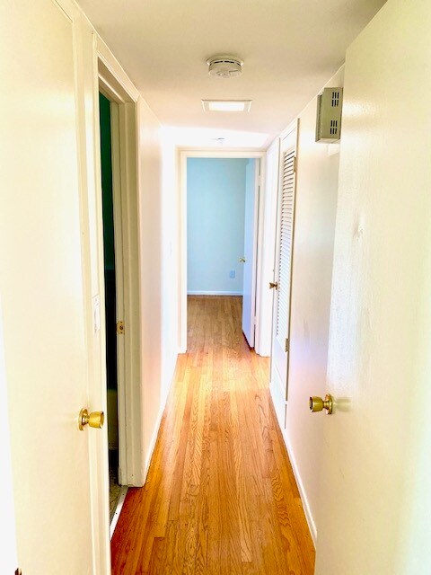 Curlew Apartments photo 5