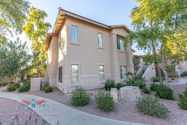1351 N Pleasant Dr Chandler, AZ 85225 photo 4