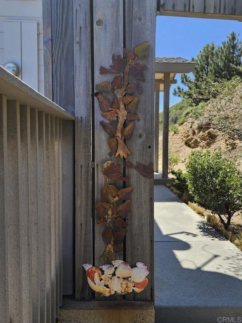 461 Manzanita Dr Julian, CA 92036 photo 4