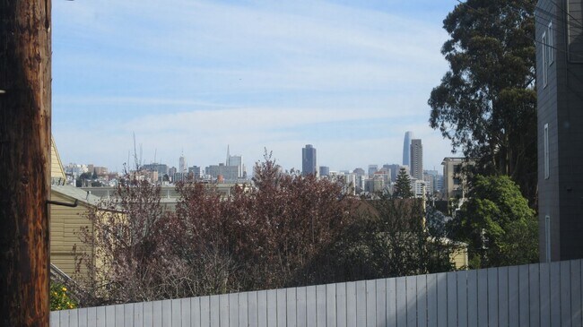 1333 Lyon St San Francisco, CA 94115 photo 5