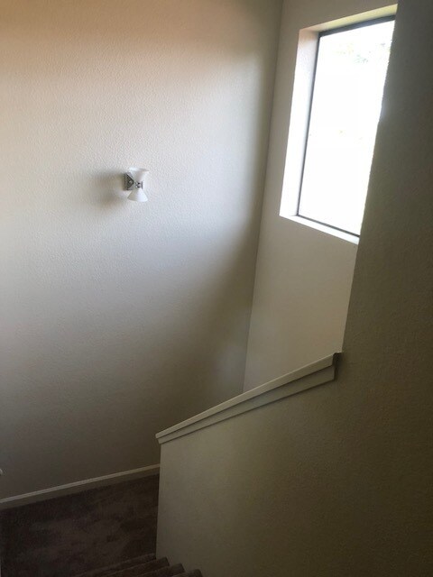80 Francis Cir Rohnert Park, CA 94928 photo 5
