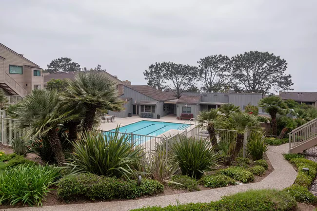 295 Sea Forest Ct Del Mar, CA 92014 photo 3