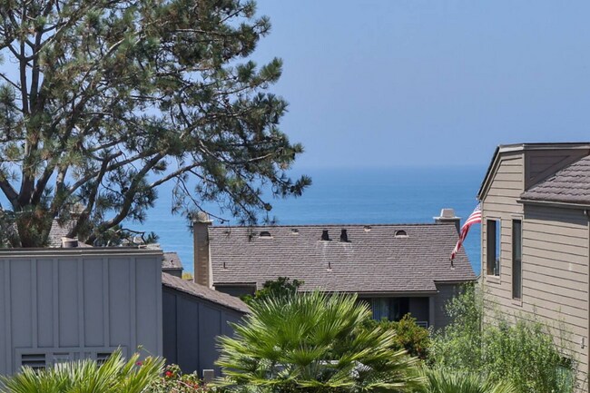295 Sea Forest Ct Del Mar, CA 92014