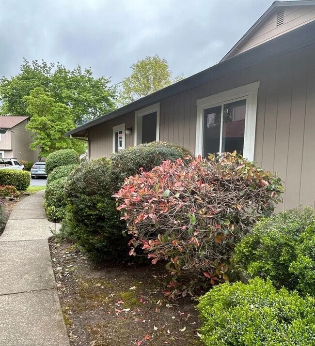 311 Algiers Ct photo 5